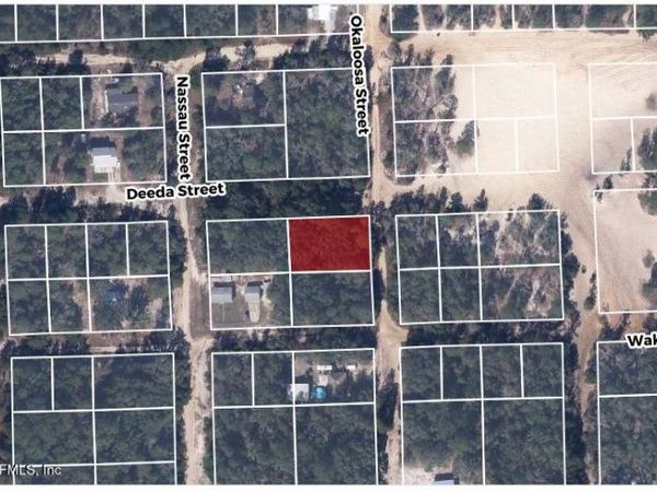 607 DEEDA Street, Florahome, FL 32140