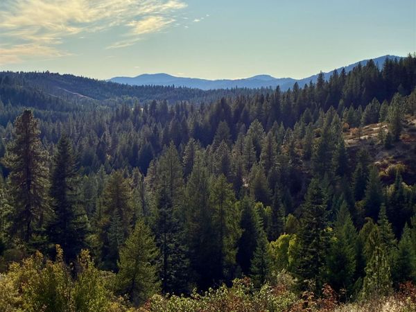 TBD Deer Valley Rd, Newport, WA 99156