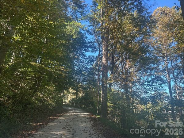 00 Split Pine Cove , Clyde, NC 28721