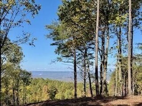 0 Top Shelf Street, Unit 2128, Guild, TN 37340