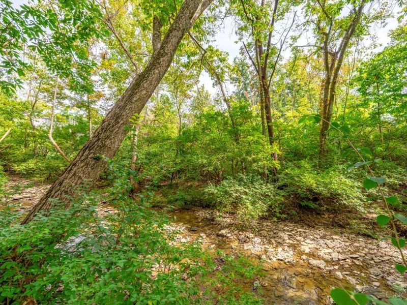 11322 Terwilligers Valley Lane, Symmes Township, OH 45249 Photo 71