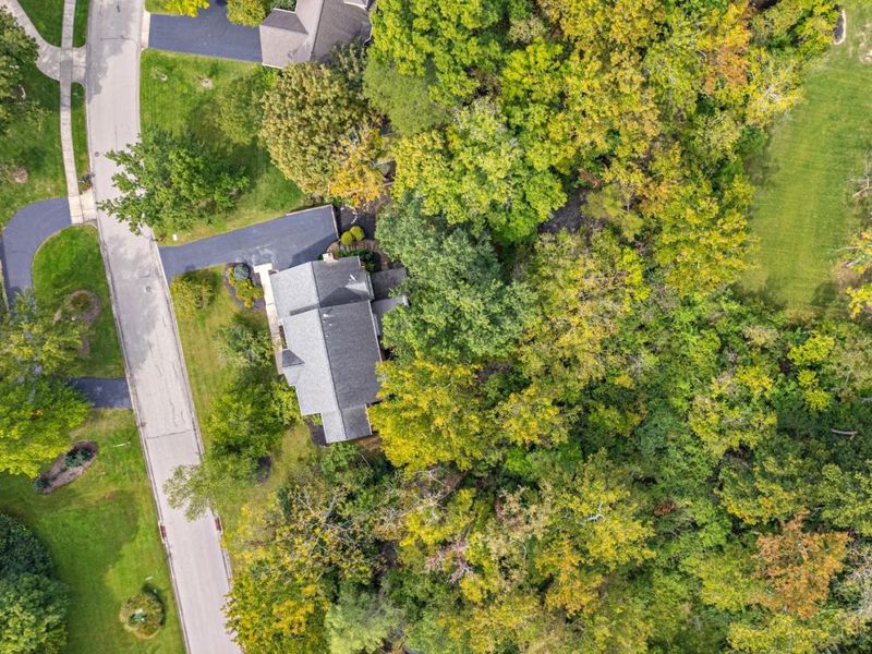 11322 Terwilligers Valley Lane, Symmes Township, OH 45249 Photo 85