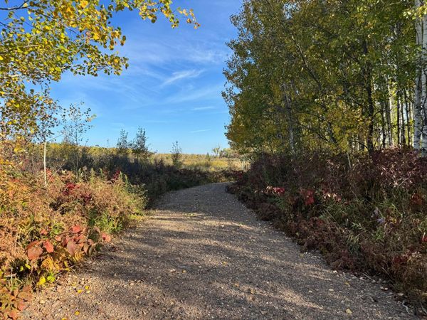W11199 Edgewood Rd W, Bruce, WI 54848
