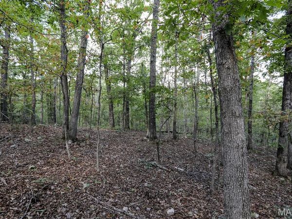 0 County Road 505 , Greenville, MO 63944