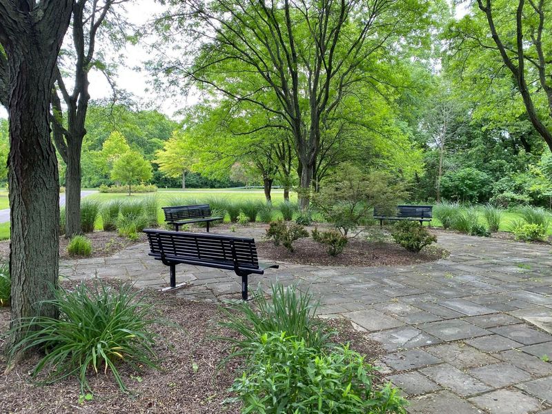 6137 Holywell Drive, Dublin, OH 43017 Photo 97