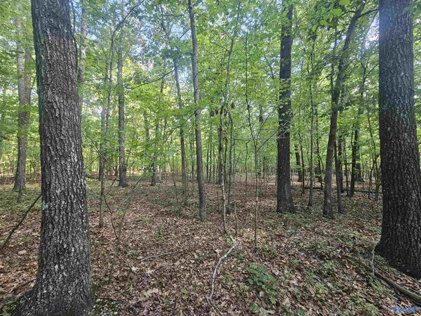 012 Toney Drive, Altoona, AL 35952