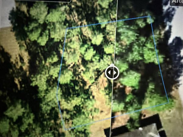 3 LOBELIA COURT , HOMOSASSA, FL 34446