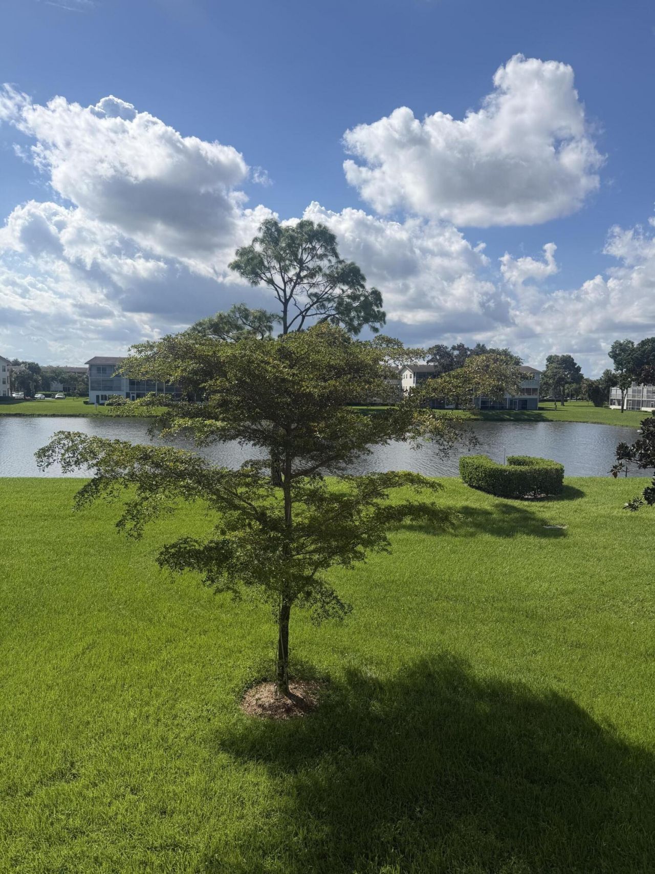 359 Preston I, Boca Raton, FL 33434 Photo