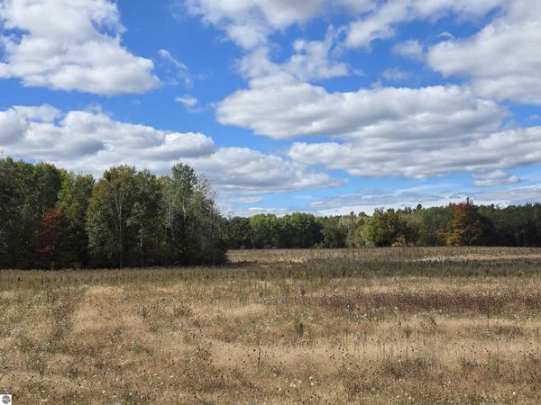 Towerline Road, Hale, MI 48739