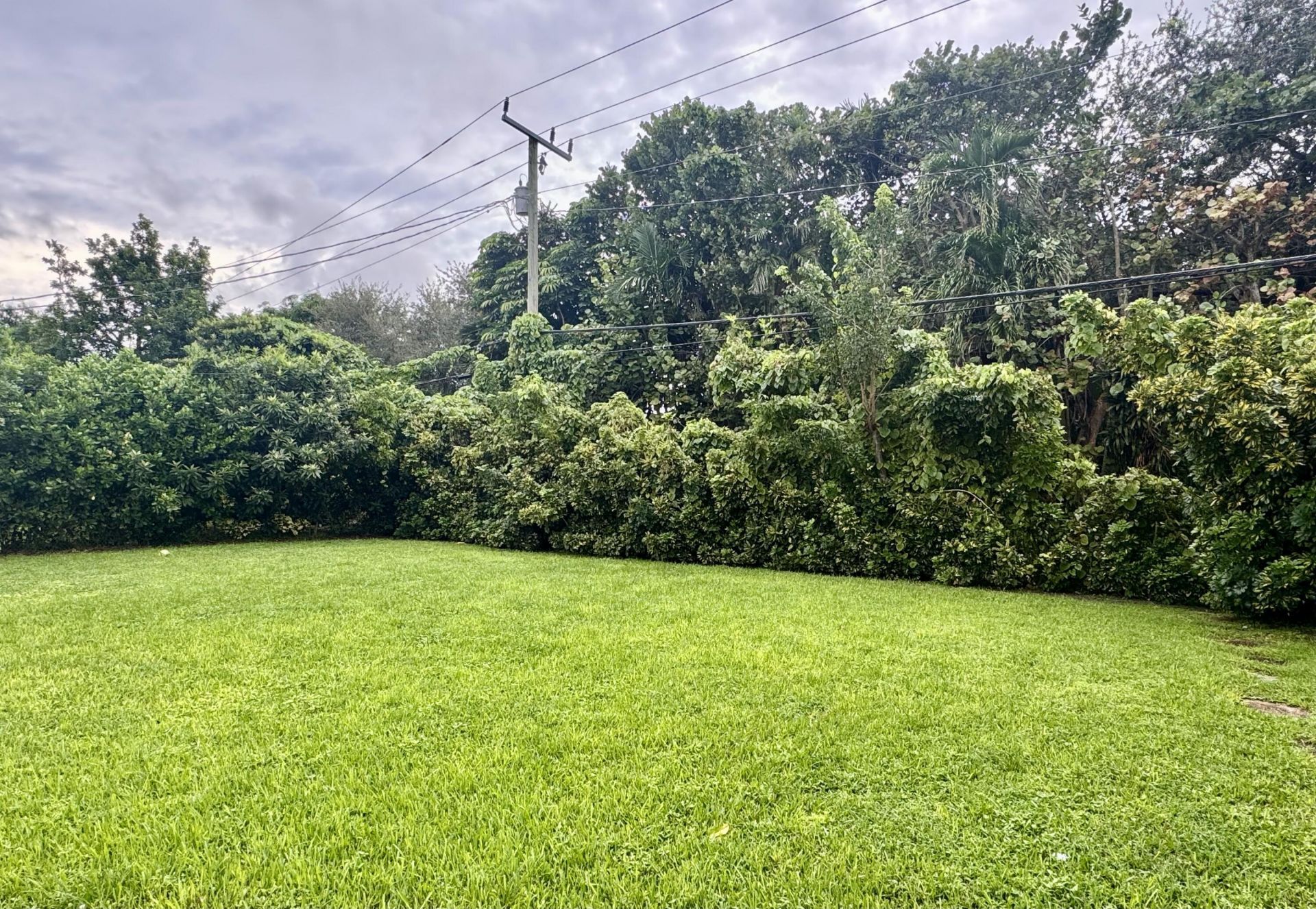 4300 Grant Street, Hollywood, FL 33021 Photo