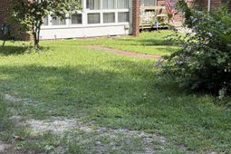 4805 Barber Street photo 4