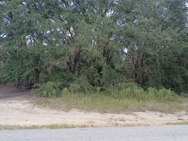 SE MALAUKA LOOP RUN ROAD , OCKLAWAHA, FL 32179