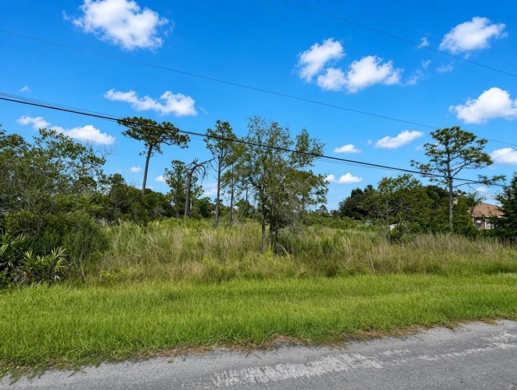 00 Nettleton Street, Orlando, FL 32833 Main Photo