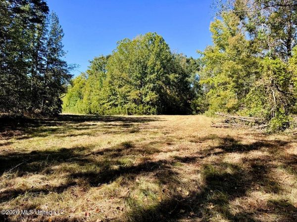 County Road 211, Carrollton, MS 38917