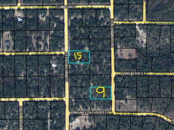 Lot 9 /15 Broom Avenue, Marianna, FL 32448