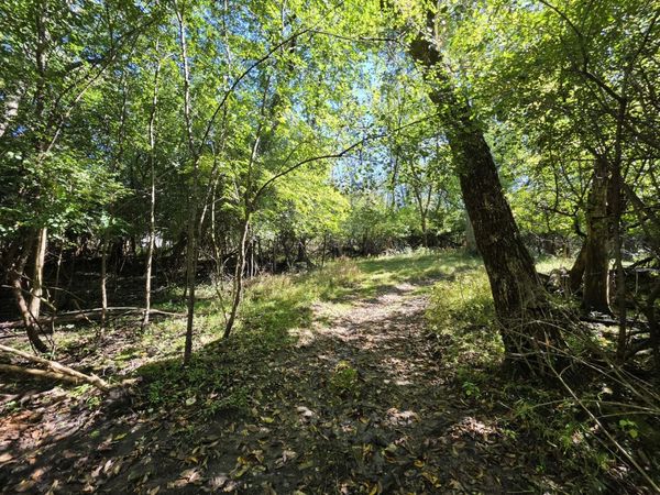 Lot 13 Pokagon Trail , Algonquin, IL 60102