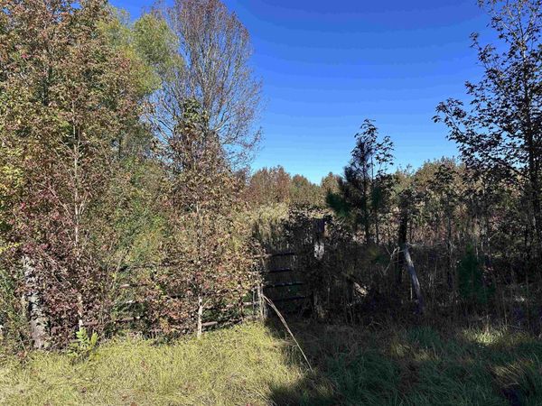 01 Co Hwy 195, Haleyville, AL 35565