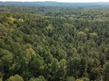 0 GREEN CREEK RD , Schuyler, VA 22969