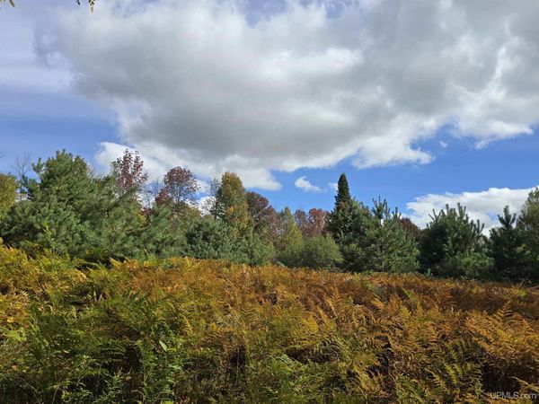 TBD Strangle Road, Stannard Twp, MI 49912