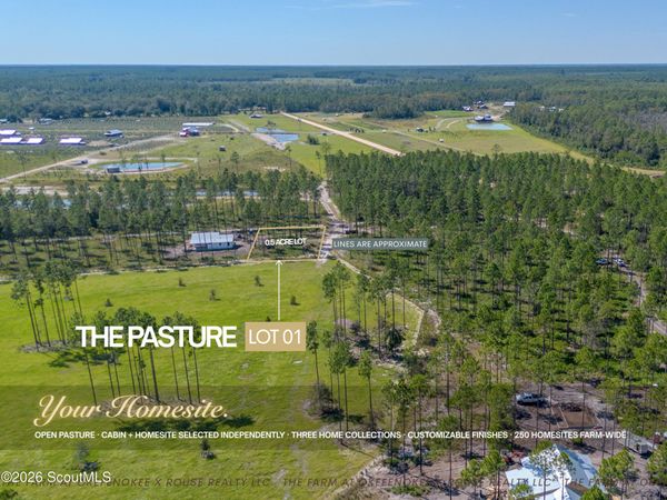 0 Hamp Chesser Road , Folkston, GA 31537