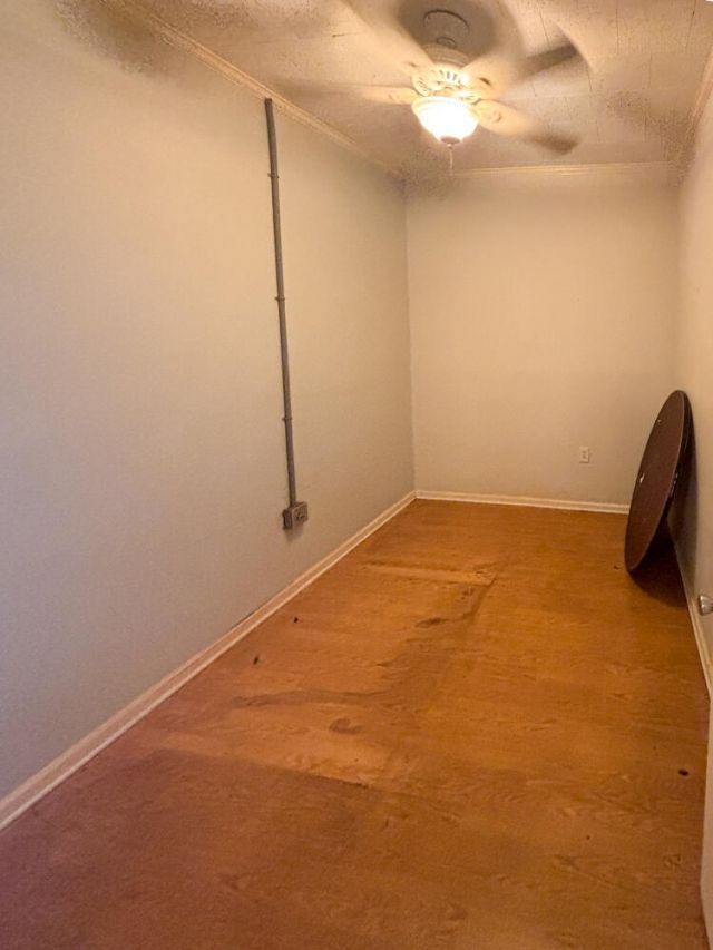 223 Calhoun Street  Photo 12