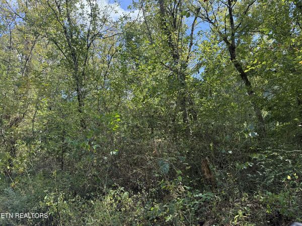Kenwood Lane, LaFollette, TN 37766