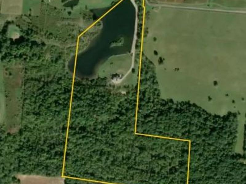 7701 Long Pond Road, Mechanicsburg, OH 43044 Photo 97