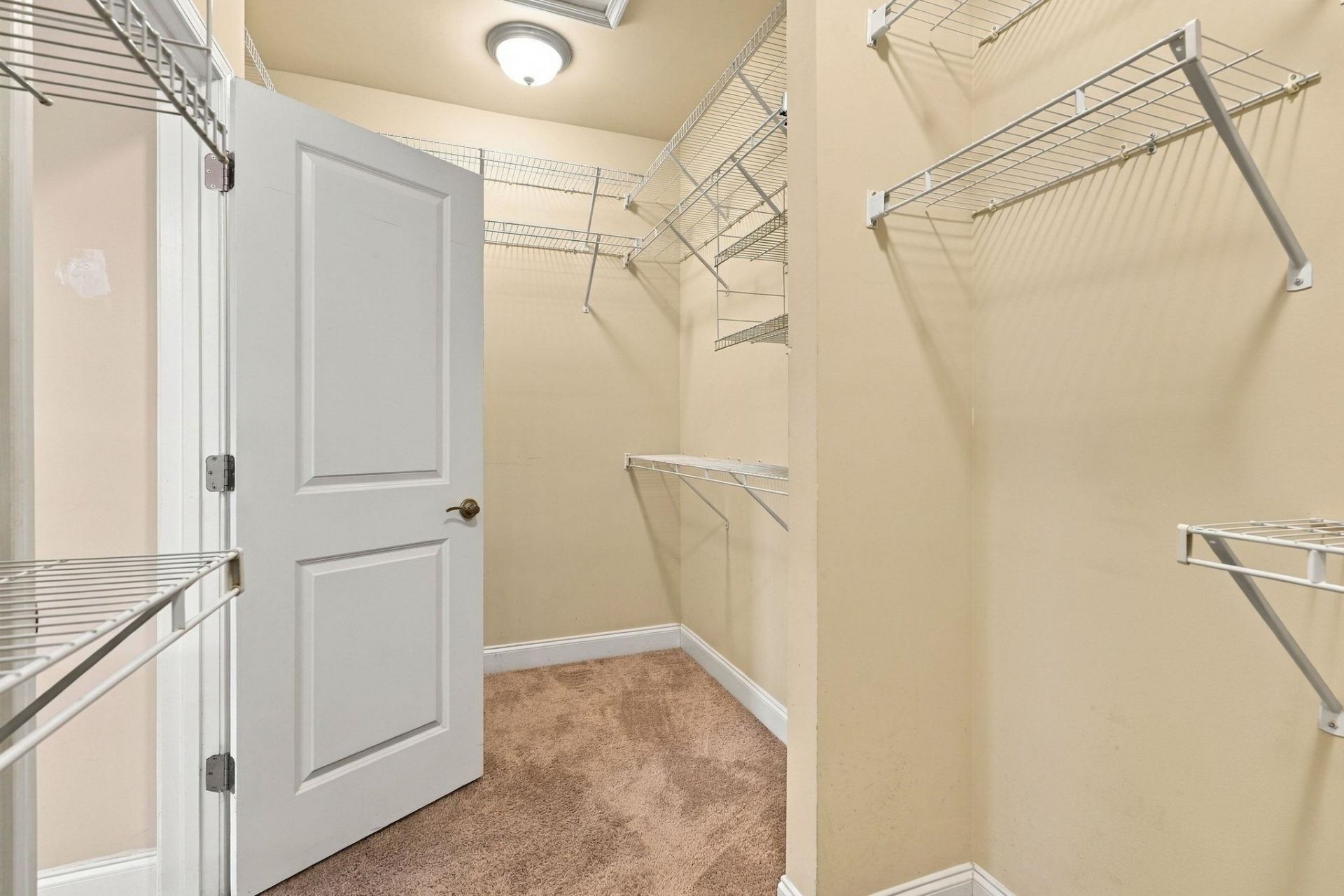 864 Callant Dr. Photo 24