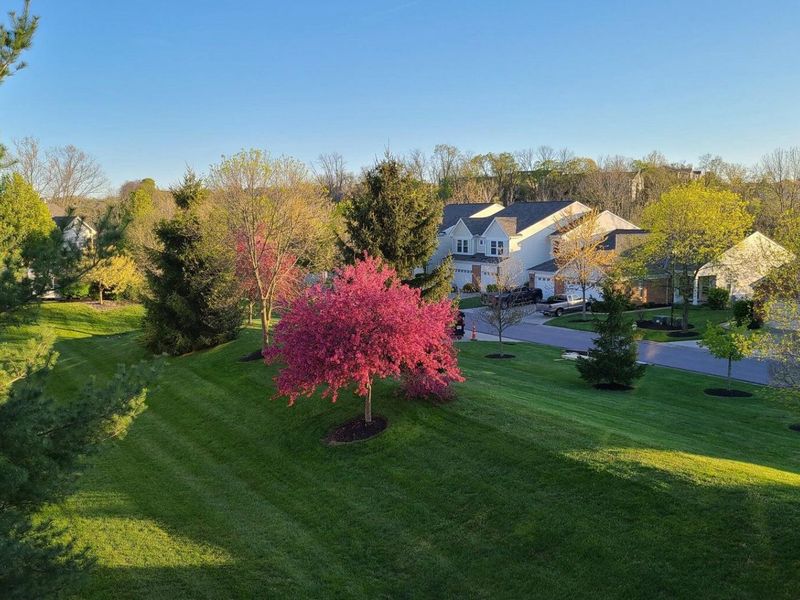 8619 Ellingsworth Way, Unit 7A, Florence, KY 41042 Photo 28