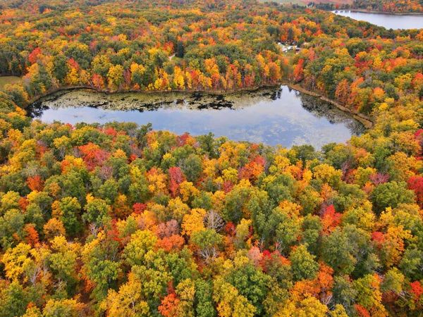 TBD Red Oak Drive , Garrison, MN 56450