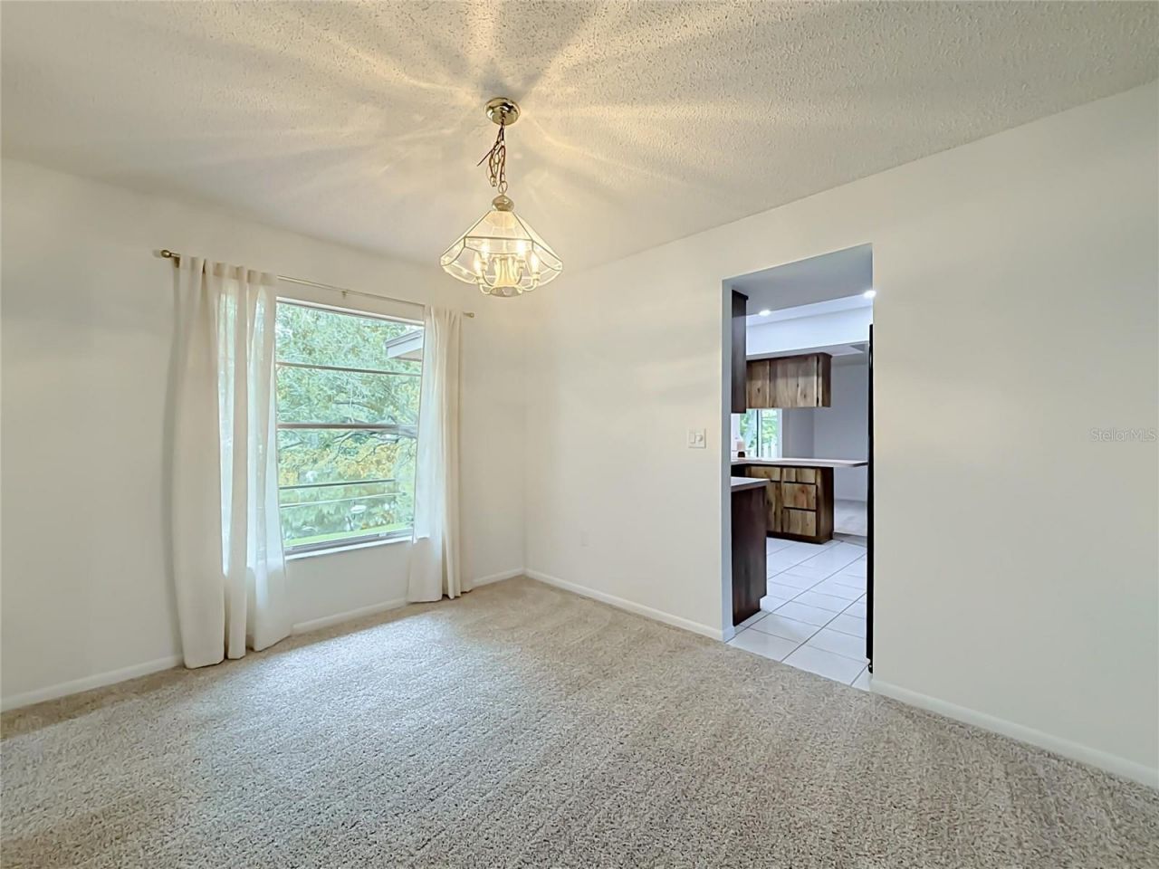 10617 Seminole Forest Street E, Seminole, FL 33778 Photo