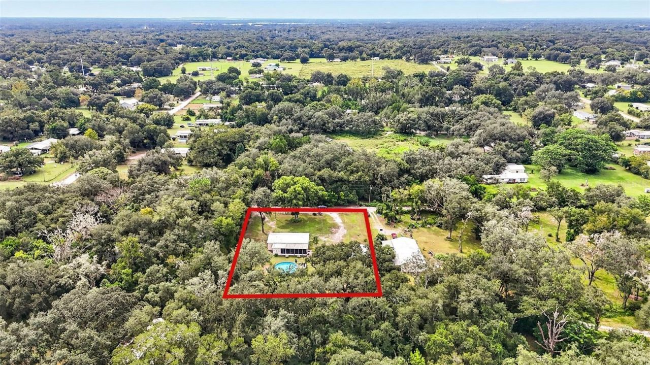 39607 Louise Drive , Zephyrhills, FL 33540 Photo
