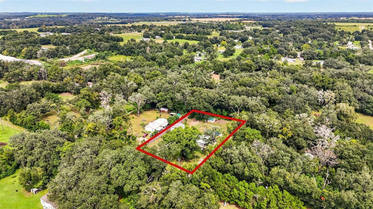 39607 Louise Drive , Zephyrhills, FL 33540 Photo