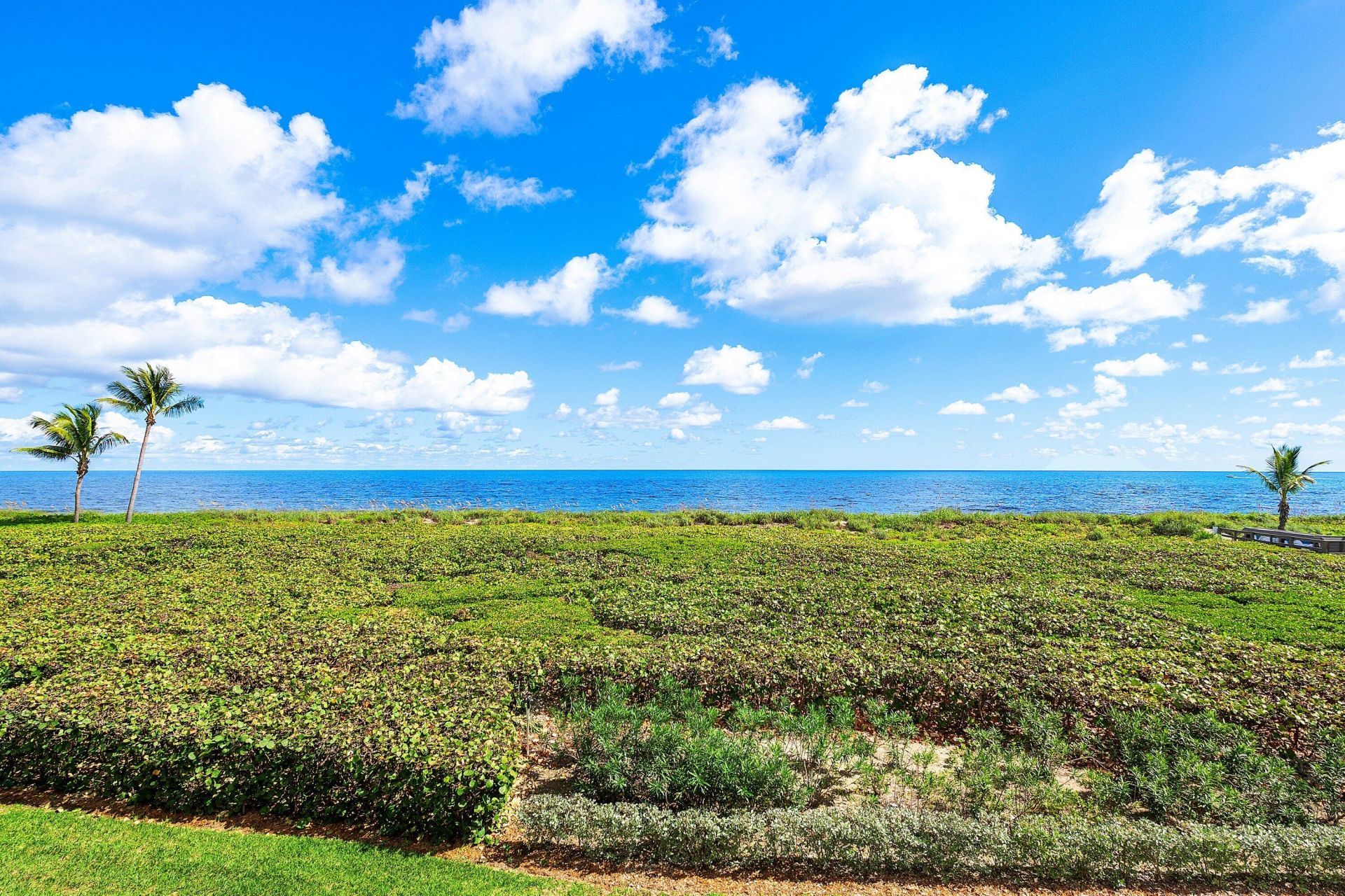 2920 SE Dune Drive, Unit 230, Hutchinson Island, FL 34996 Photo