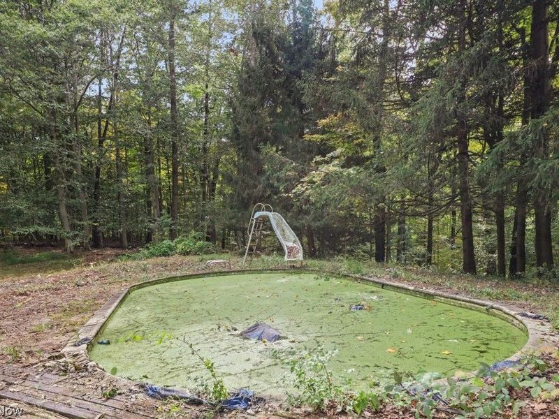4573 Nettleton Road, Medina, OH 44256 Photo 31