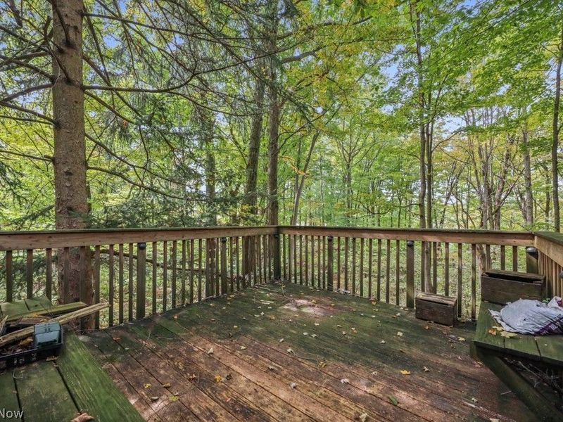 4573 Nettleton Road, Medina, OH 44256 Photo 33