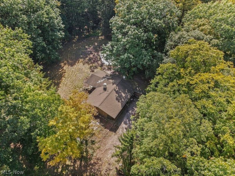 4573 Nettleton Road, Medina, OH 44256 Photo 36