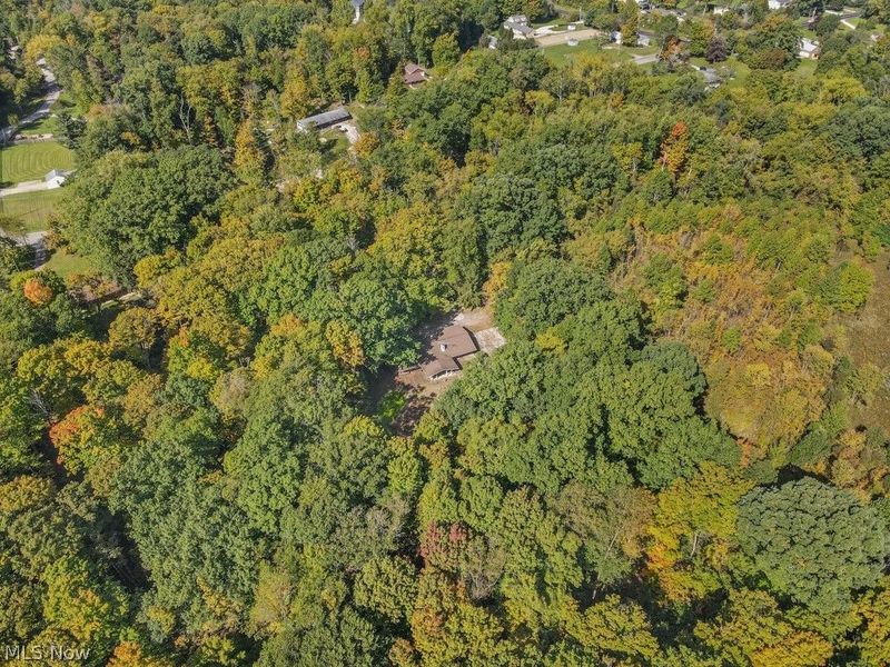 4573 Nettleton Road, Medina, OH 44256 Photo 41