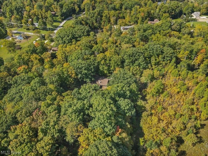 4573 Nettleton Road, Medina, OH 44256 Photo 42