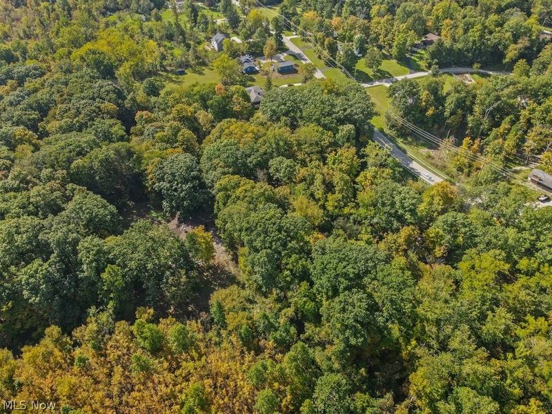 4573 Nettleton Road, Medina, OH 44256 Photo 45