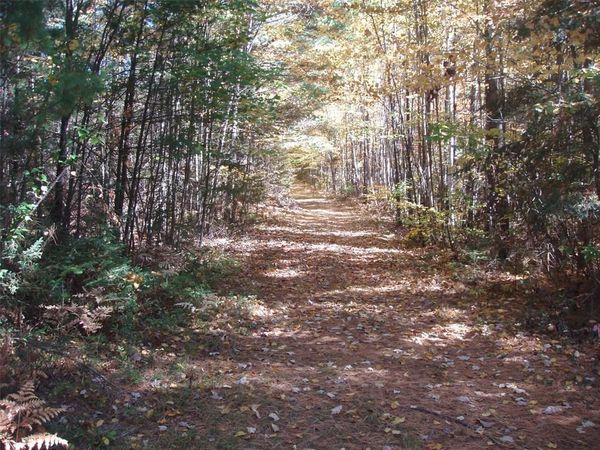 40+/- Acres Off Brimstein Road, Park Falls, WI 54552