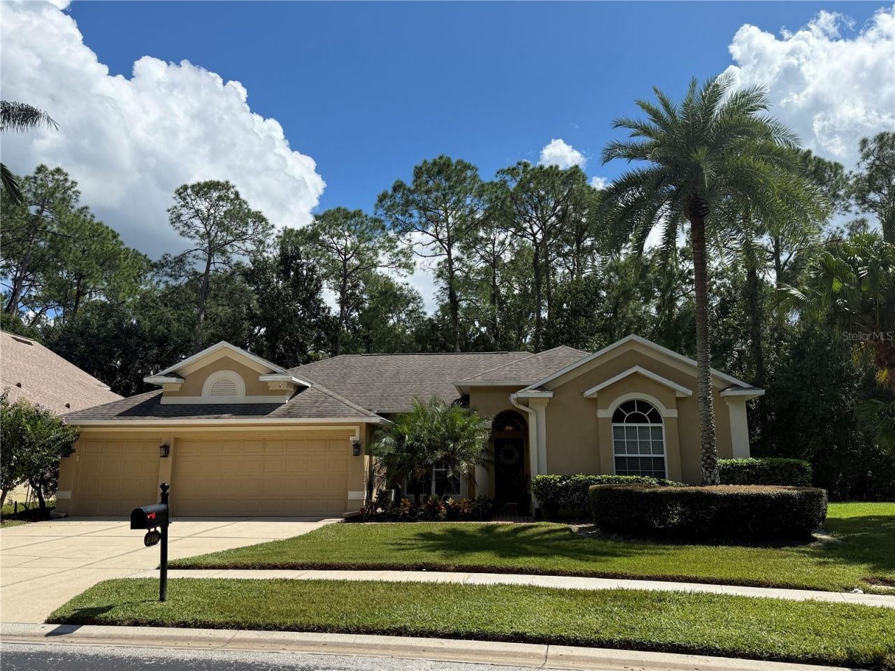 27332 Briarglade Loop, Wesley Chapel, FL 33544 Main Photo