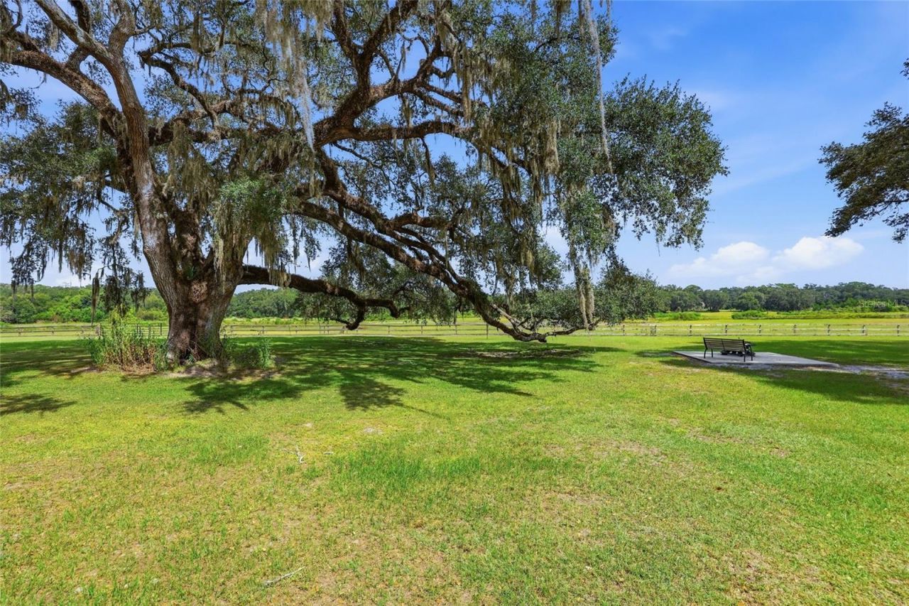 18731 SE 30th Street, Morriston, FL 32668 Photo