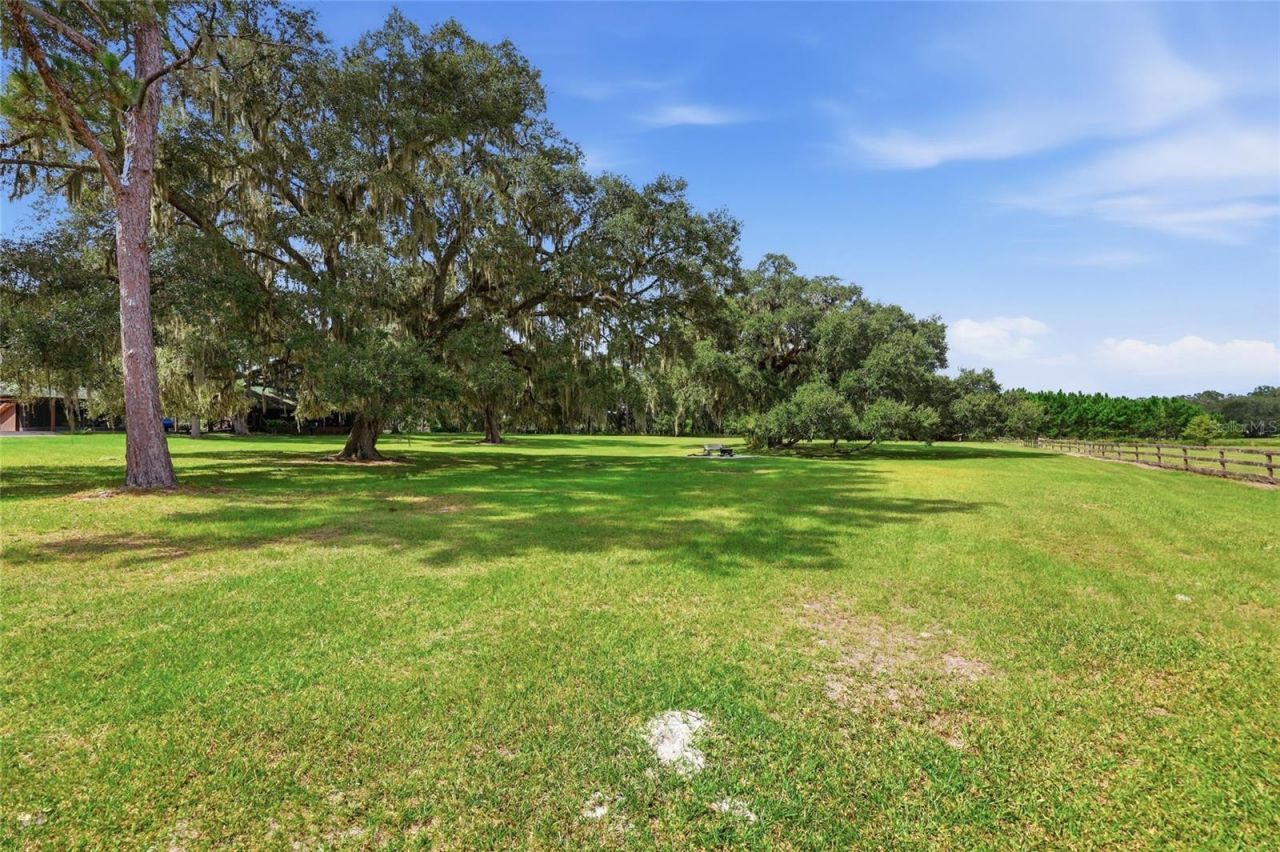 18731 SE 30th Street, Morriston, FL 32668 Photo