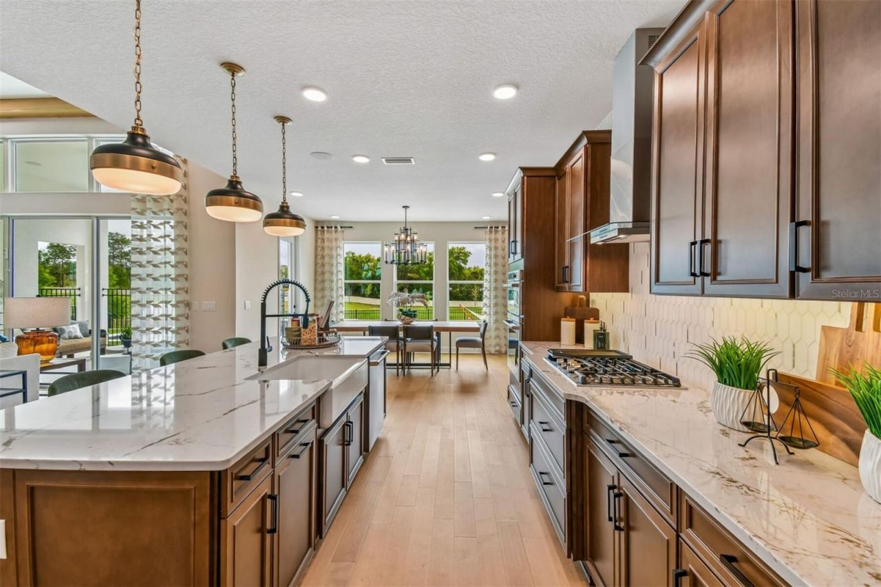 3699 Wolves Creek Place, Apopka, FL 32712 Photo