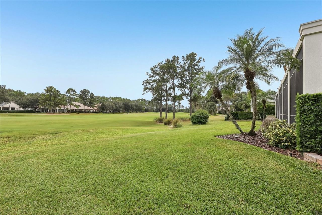 8229 Tibet Butler Drive, Windermere, FL 34786 Photo