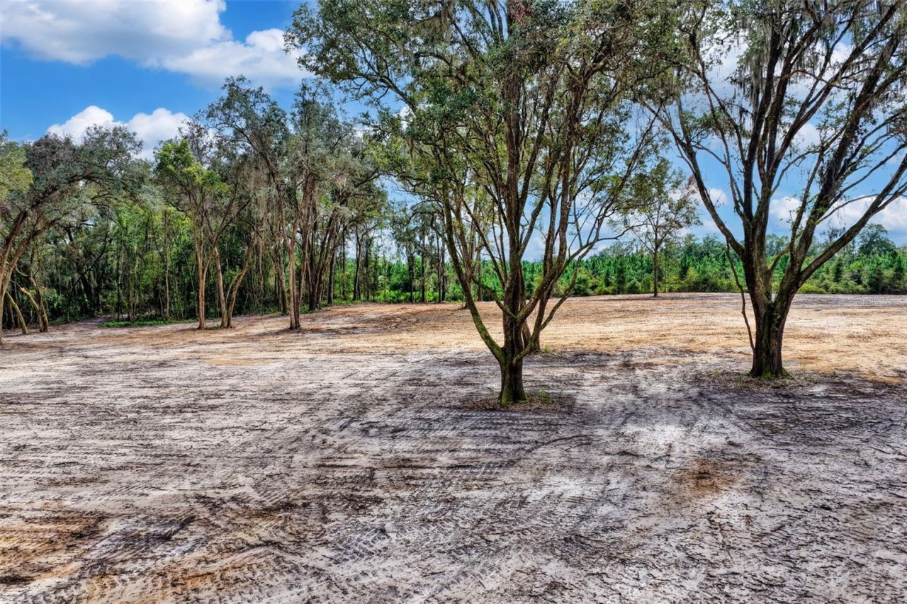 12207 SW State Road 45 , Archer, FL 32618 Photo