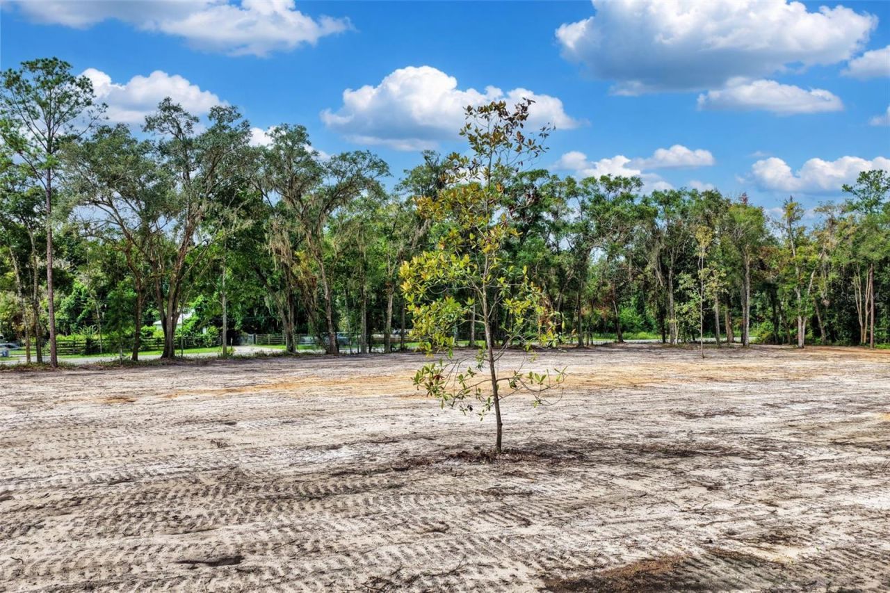 12207 SW State Road 45 , Archer, FL 32618 Photo