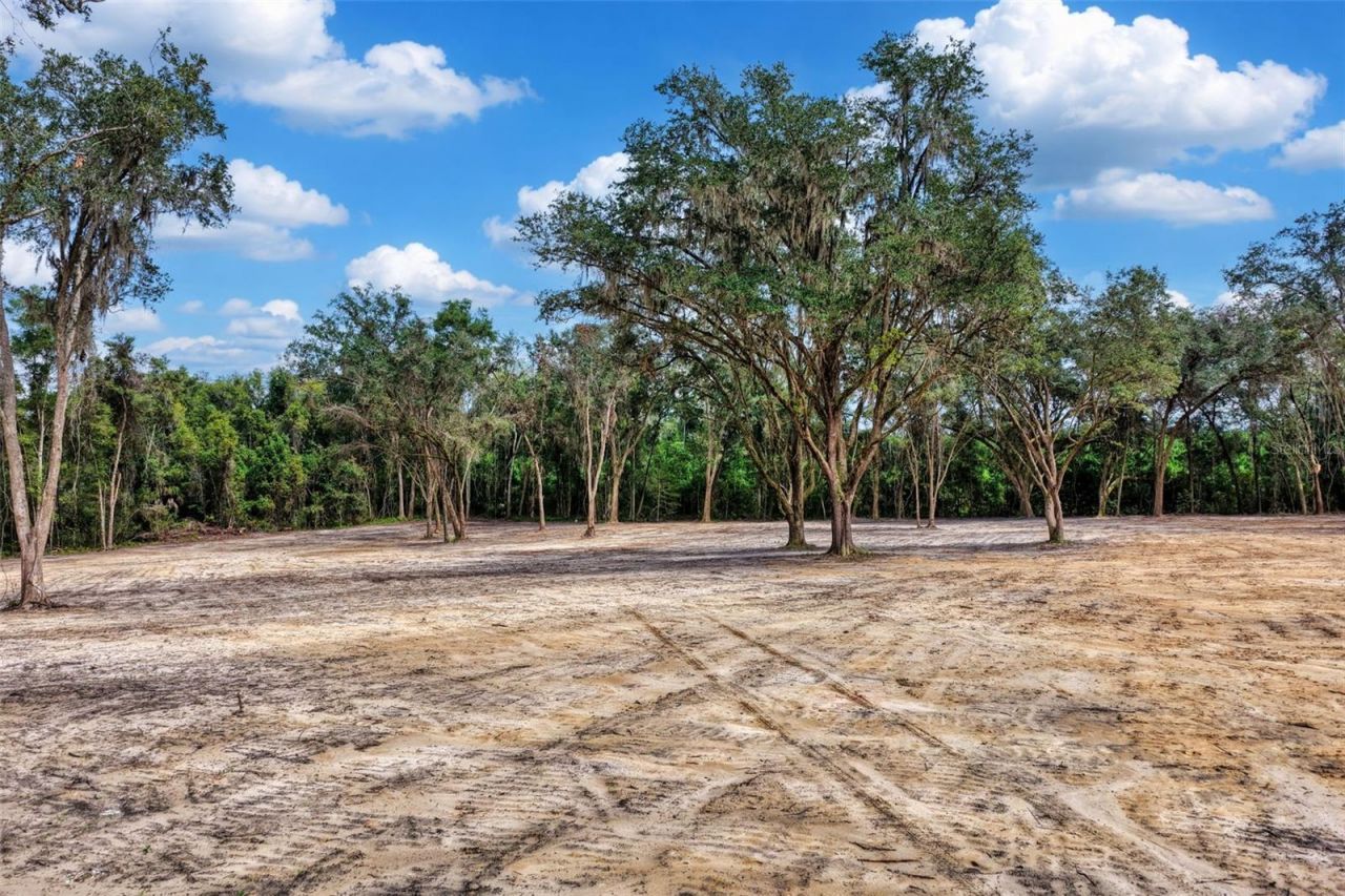 12207 SW State Road 45 , Archer, FL 32618 Photo