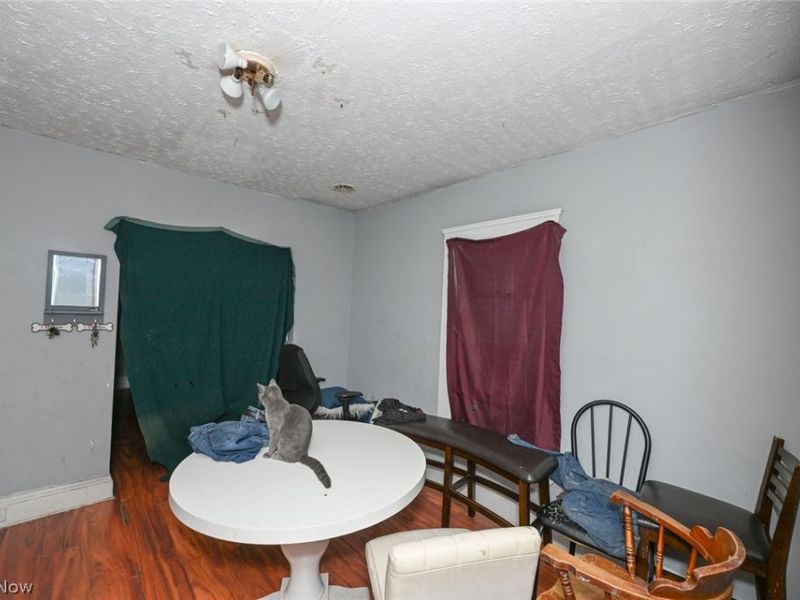 4140 W 36th Street, Cleveland, OH 44109 Photo 13
